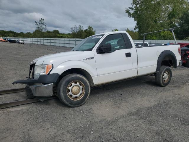 2014 FORD F150 - 1FTPF1CFXEKG06260