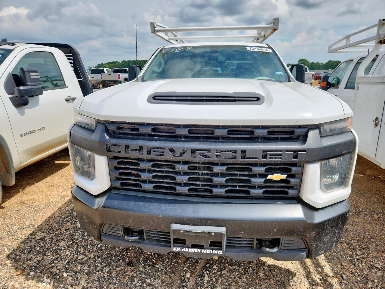 Lot #3304820547 2023 CHEVROLET SILVERADO