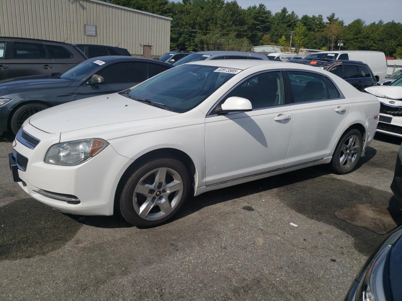 Lot #3265274003 2010 CHEVROLET MALIBU 1LT
