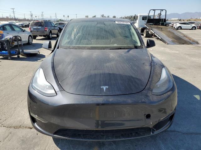2025 TESLA MODEL Y - 7SAYGDEDXSF313565