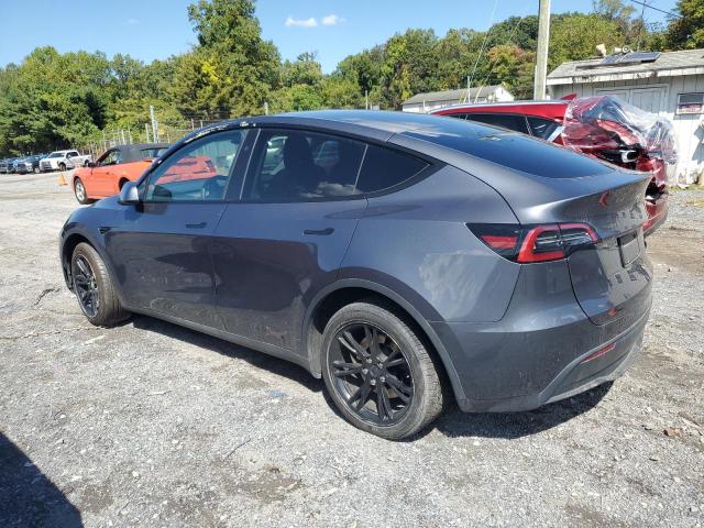 2023 TESLA MODEL Y #3262007469