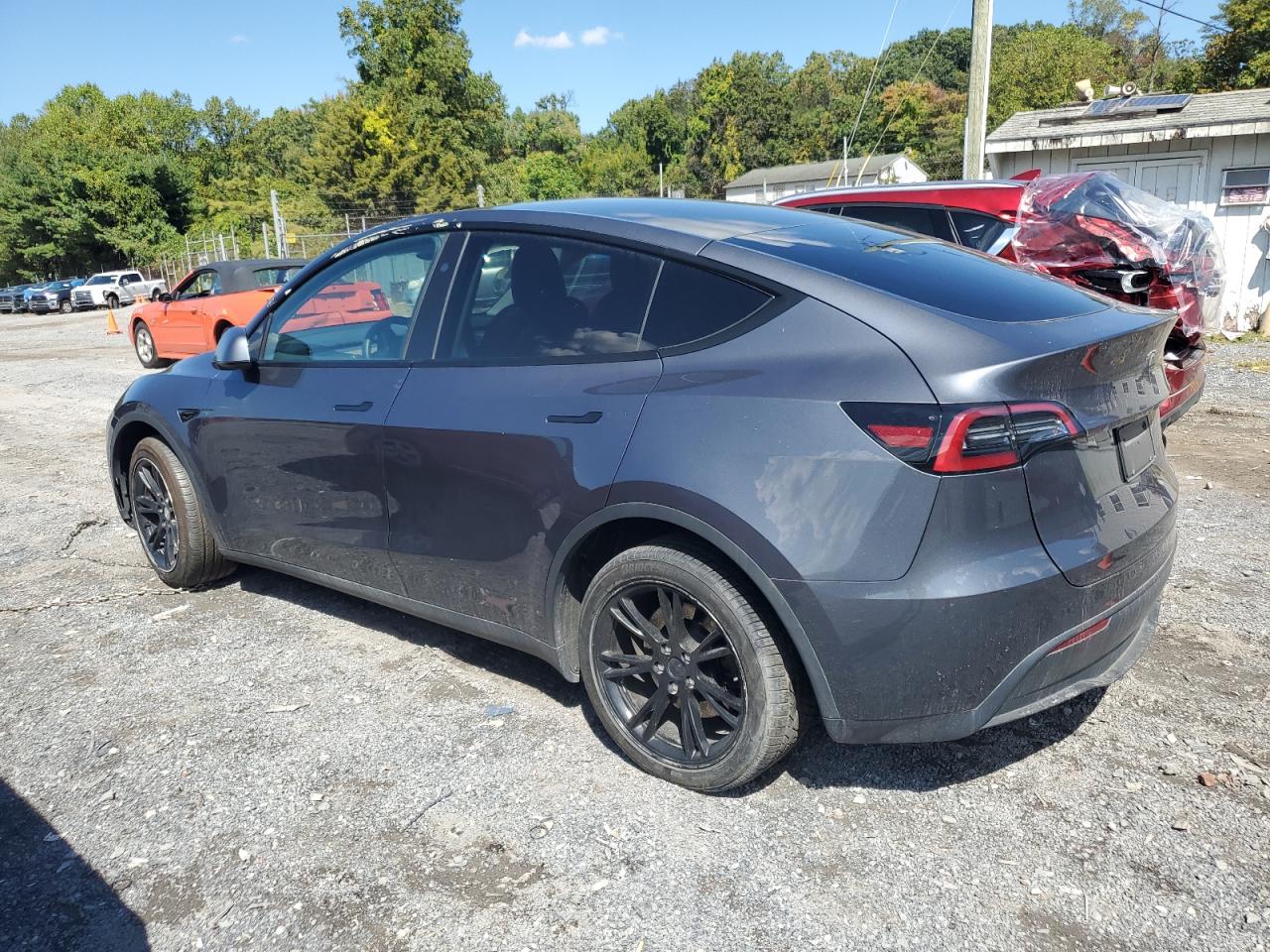 TESLA MODEL Y