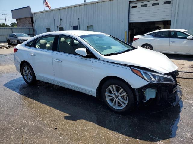 2017 HYUNDAI SONATA 5NPE24AF3HH582491