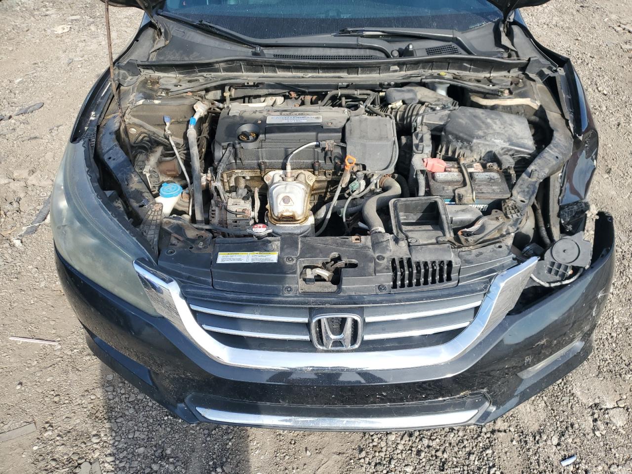 HONDA ACCORD EXL
