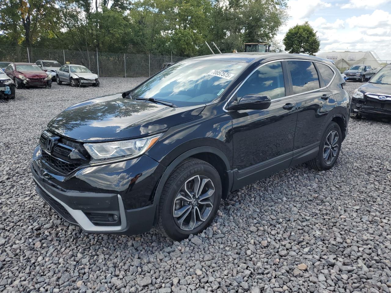 Lot #3269091044 2020 HONDA CR-V EX