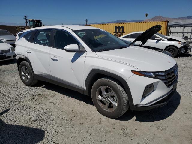2023 HYUNDAI TUCSON SE 5NMJACAE1PH184873