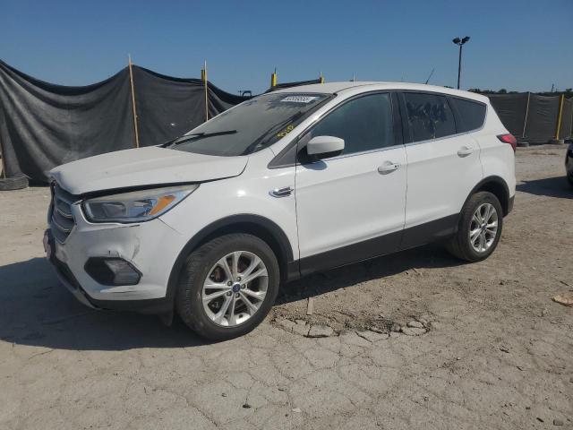 Global Auto Auctions: 2019 FORD ESCAPE SE