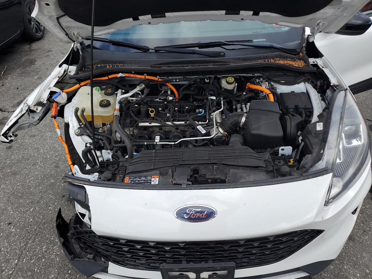 FORD ESCAPE SE SPORT