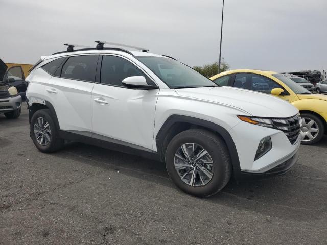 2024 HYUNDAI TUCSON BLU - KM8JBCD1XRU210836