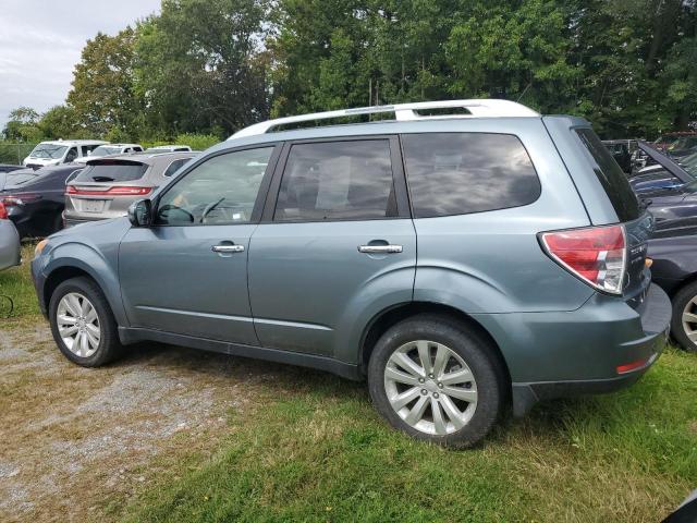 SUBA FORESTER TOURING 2013 green 4dr spor gas JF2SHAHC2DH427856 photo #4