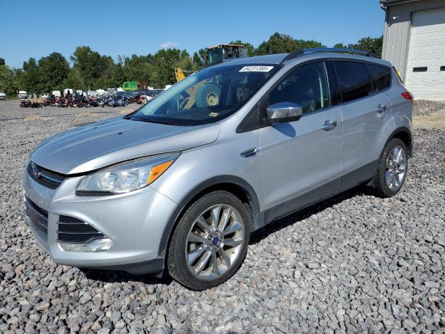 Global Auto Auctions: 2016 FORD ESCAPE SE