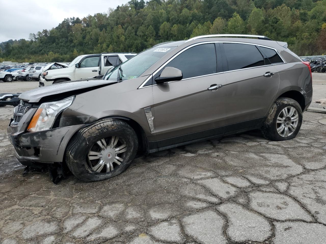 CADILLAC SRX LUXURY COLLECTION