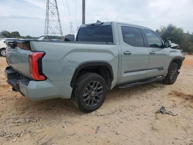 2024 TOYOTA TUNDRA CREWMAX PLATINUM 5TFNA5DB8RX189920