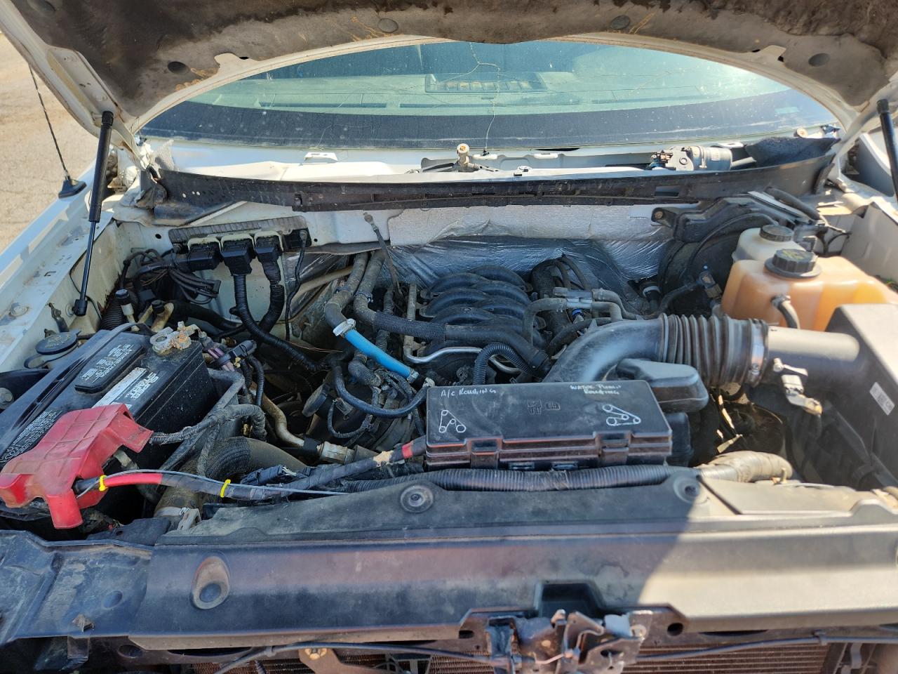 Lot #3263689715 2012 FORD F150