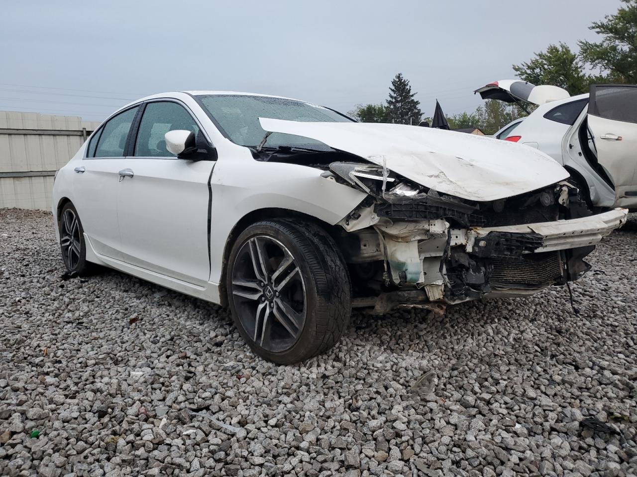 HONDA ACCORD SPORT SPECIAL EDITION