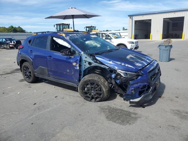 2025 SUBARU CROSSTREK WILDERNESS #3269890144