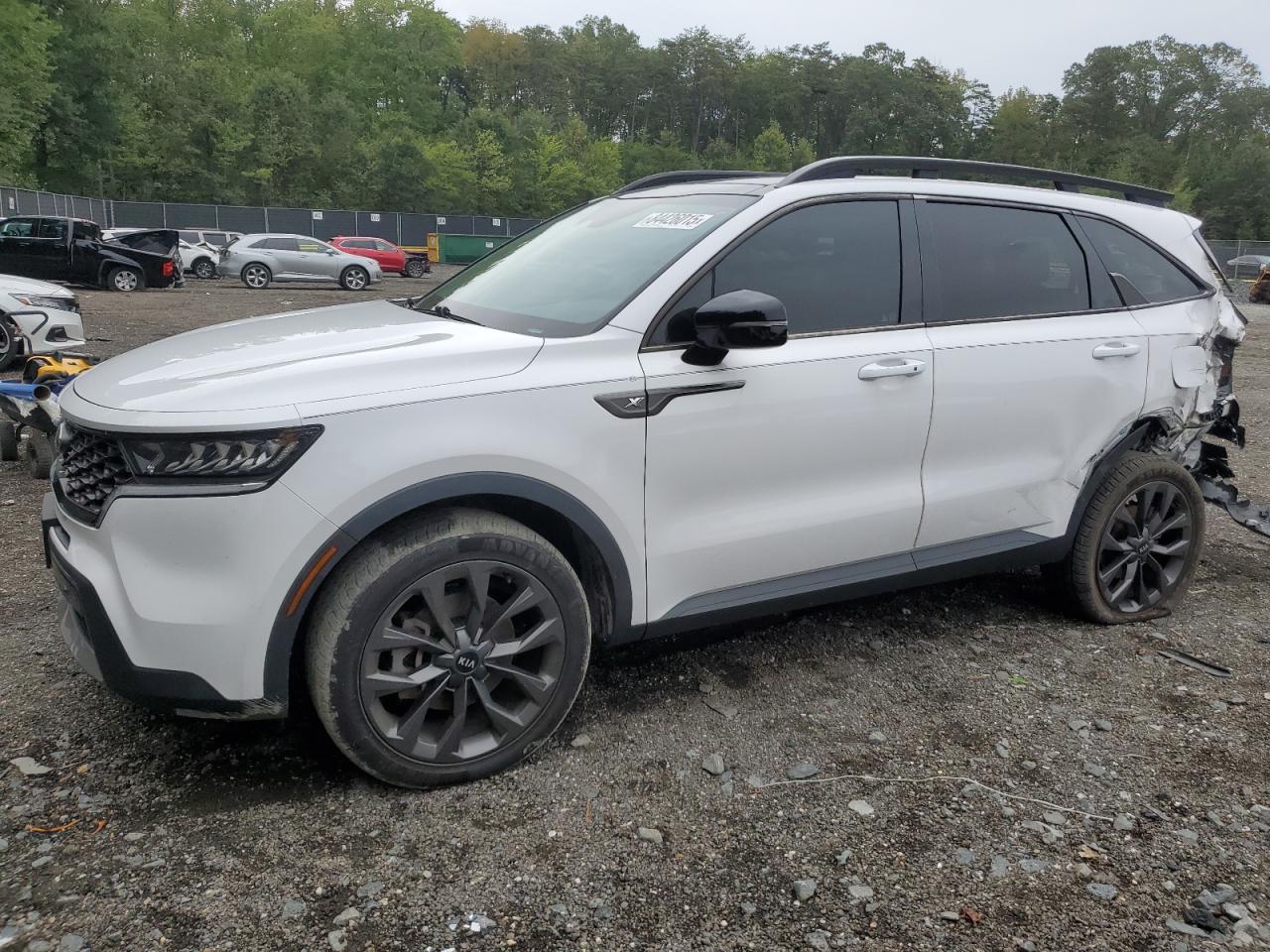 Lot #3291333167 2021 KIA SORENTO EX