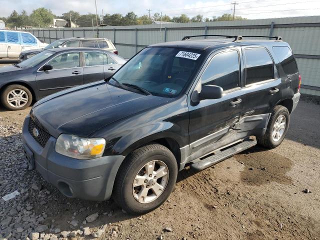 Global Auto Auctions: 2005 FORD ESCAPE XLT