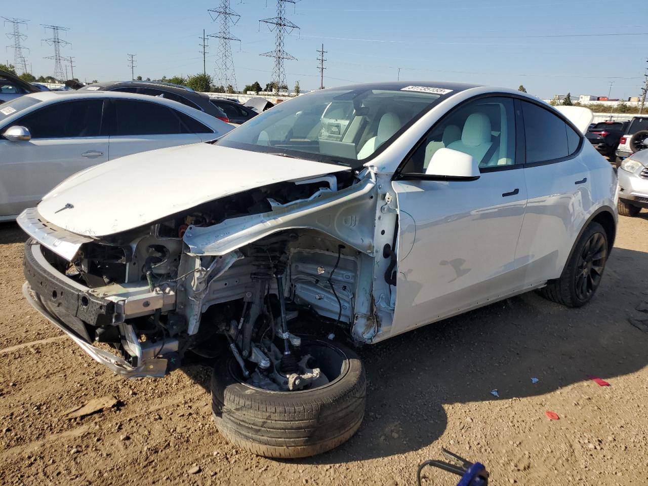 Lot #3290370774 2023 TESLA MODEL Y