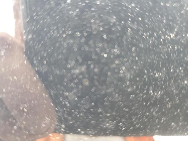 2025 HONDA CIVIC SPOR #3308381363