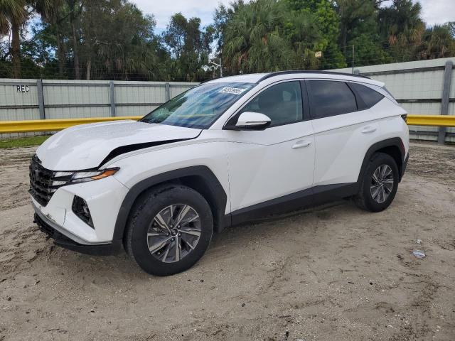 2022 HYUNDAI TUCSON BLUE KM8JBCA12NU056315