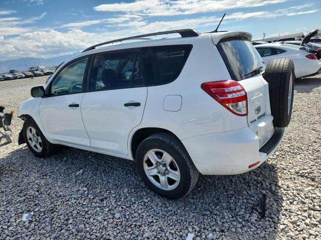2010 TOYOTA RAV4 - JTMBF4DV2AD027067