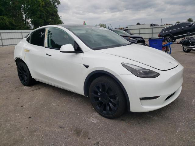 2023 TESLA MODEL Y 7SAYGDEEXPF596176