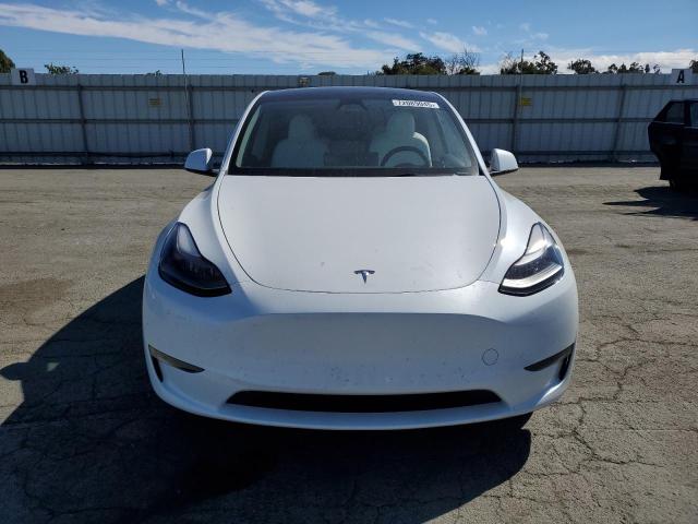 2023 TESLA MODEL Y 7SAYGDEF4PF882291