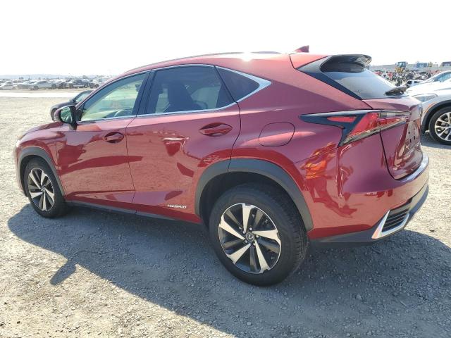 2021 LEXUS NX 300H BA JTJGJRDZ3M2166724