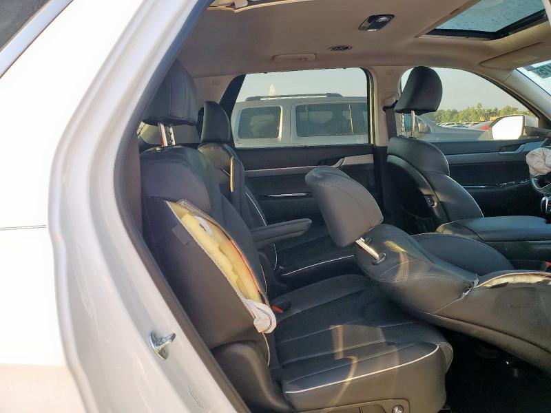 2025 HYUNDAI PALISADE X KM8R34GE5SU901847