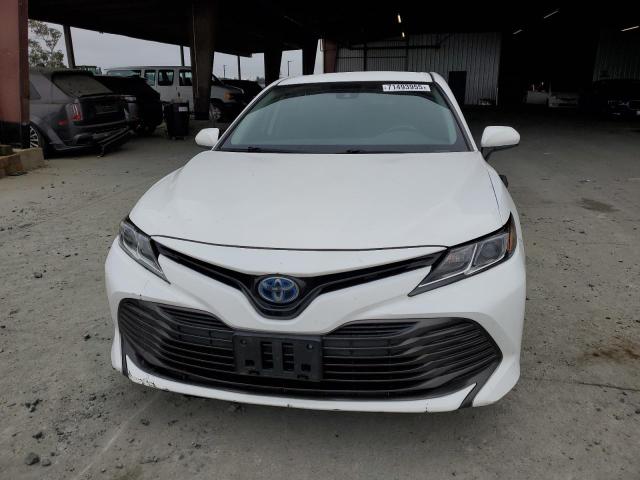 2019 TOYOTA CAMRY LE 4T1B31HK3KU516131