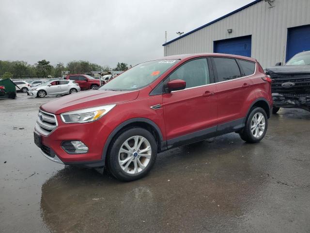 Global Auto Auctions: 2019 FORD ESCAPE SE