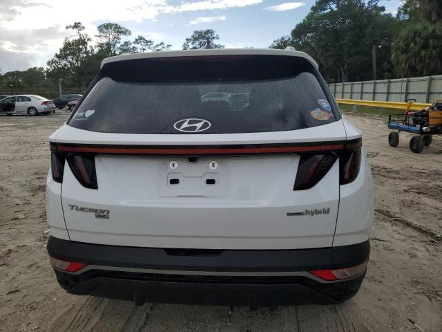 2022 HYUNDAI TUCSON BLUE KM8JBCA12NU056315