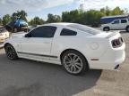 Lot #3293499419 2014 FORD MUSTANG