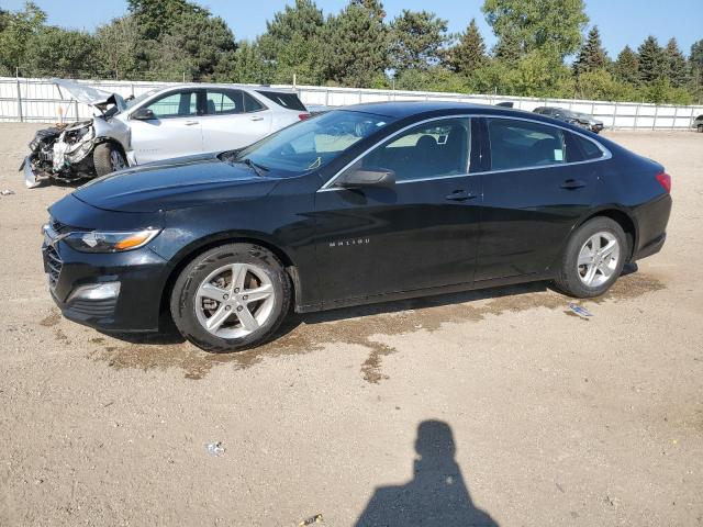 CHEVROLET MALIBU LS