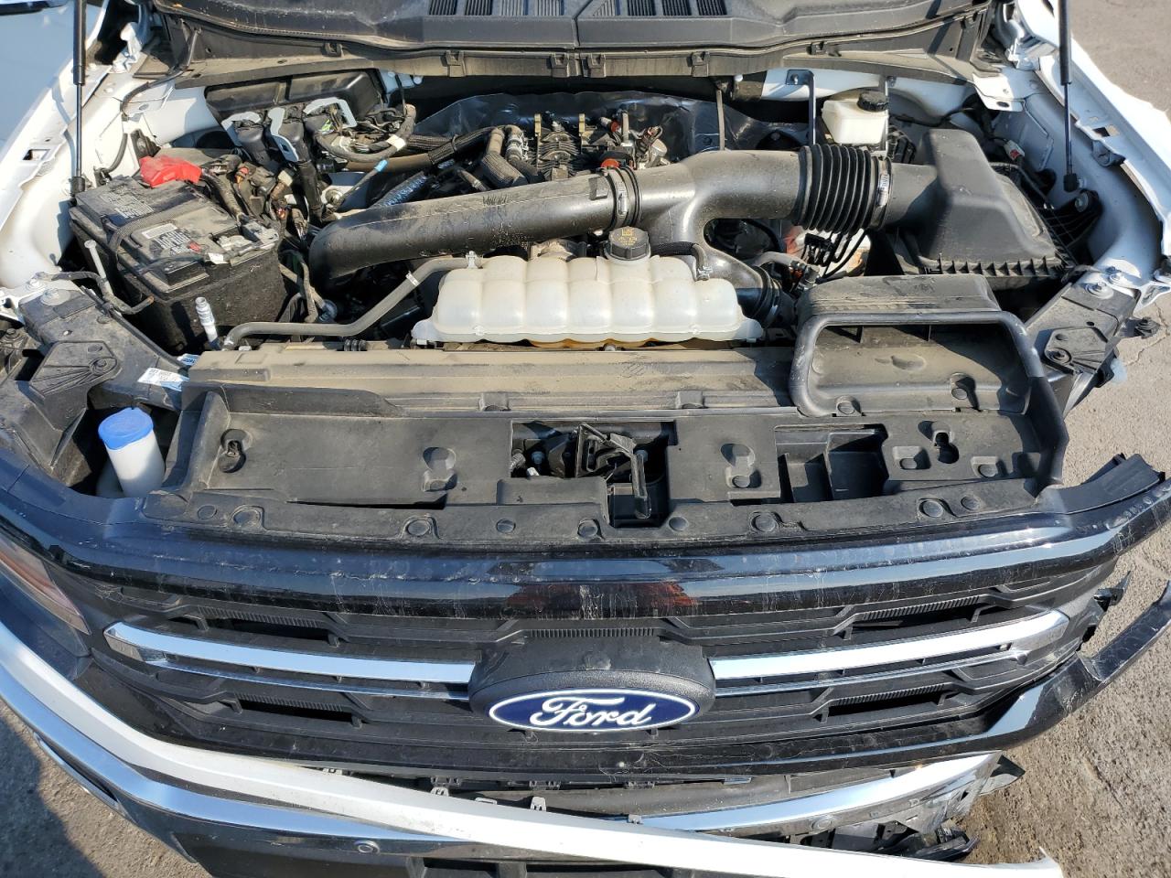 Lot #3268400757 2024 FORD F150 XLT