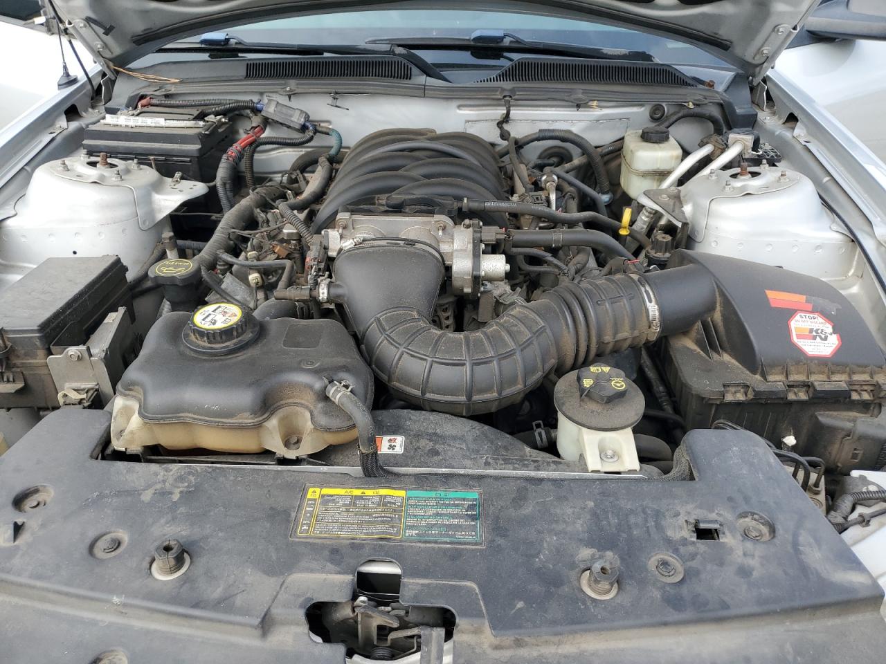 Lot #3268876220 2006 FORD MUSTANG GT