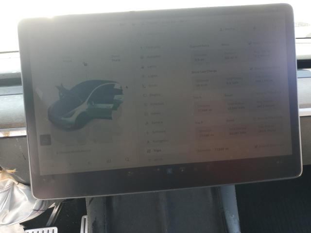 2023 TESLA MODEL Y #3302820905