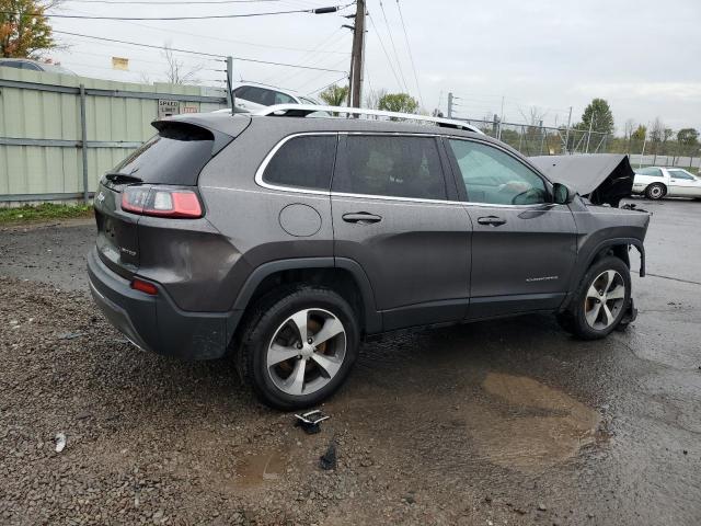 2020 JEEP CHEROKEE L 1C4PJMDX6LD589661