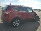 Lot #3303817449 2014 FORD ESCAPE TITANIUM