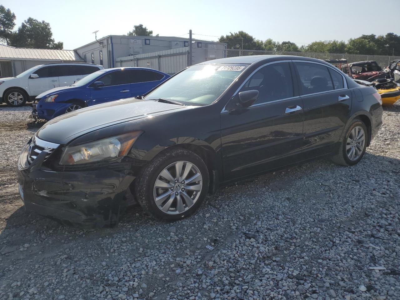 HONDA ACCORD EXL
