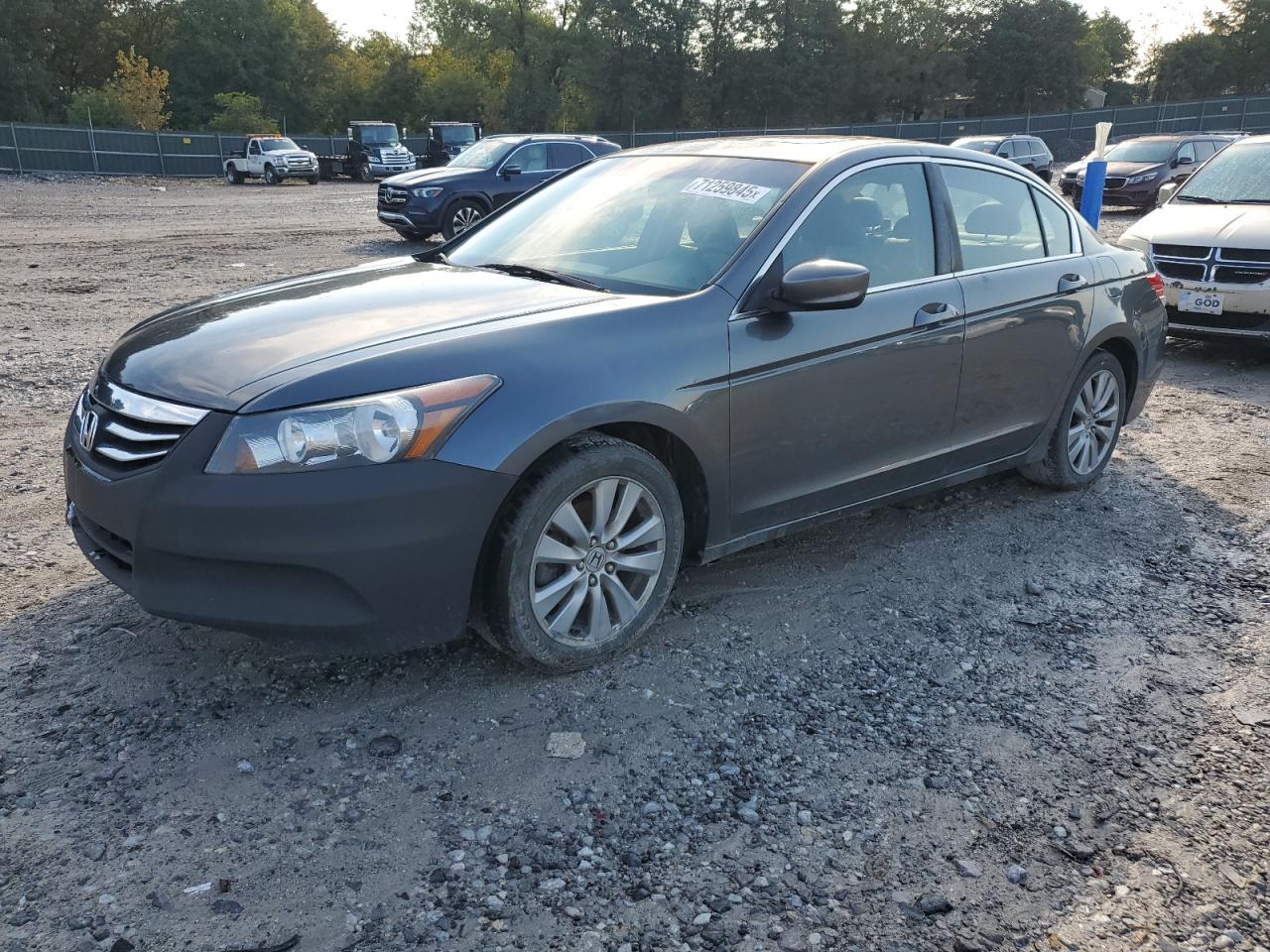 HONDA ACCORD EXL