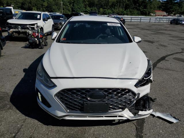 2019 HYUNDAI SONATA LIMITED 5NPE34AF1KH736457