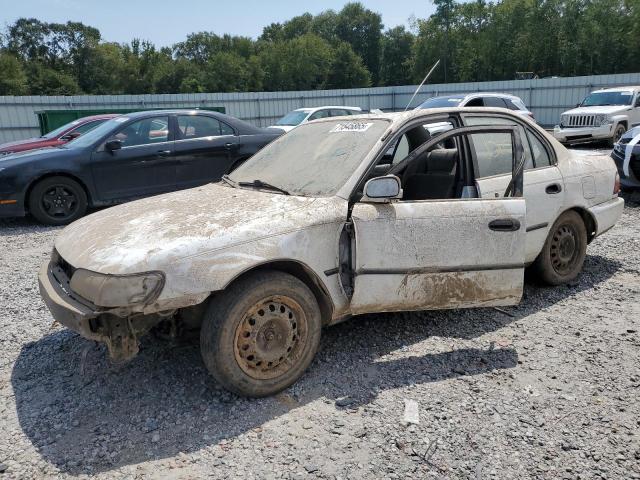 Global Auto Auctions: 1996 TOYOTA COROLLA DX