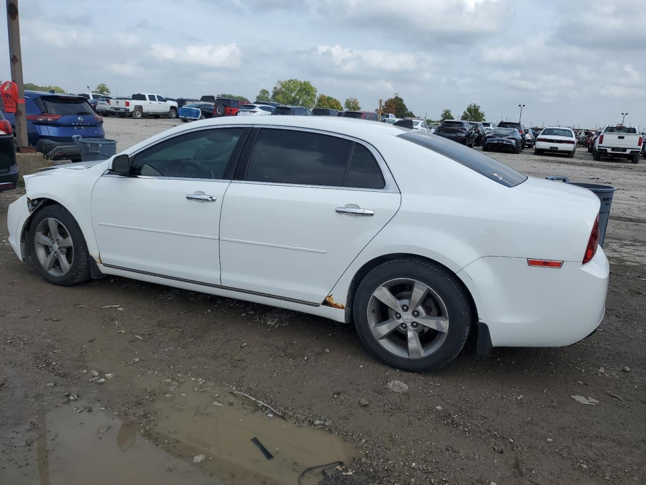 CHEVROLET MALIBU 1LT