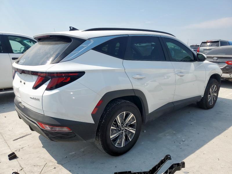 2024 HYUNDAI TUCSON BLU KM8JBCD15RU227883
