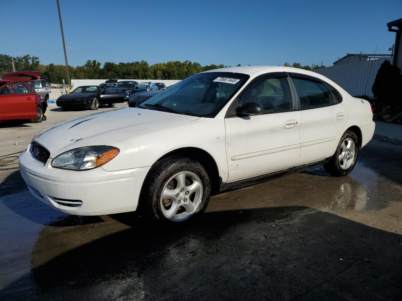 Lot #3234395080 2006 FORD TAURUS SE