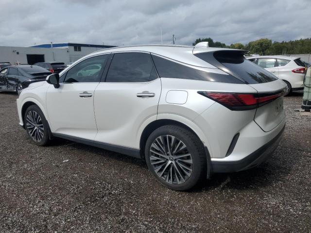 2024 LEXUS RX 350H BA - 2T2BBMCA1RC026149