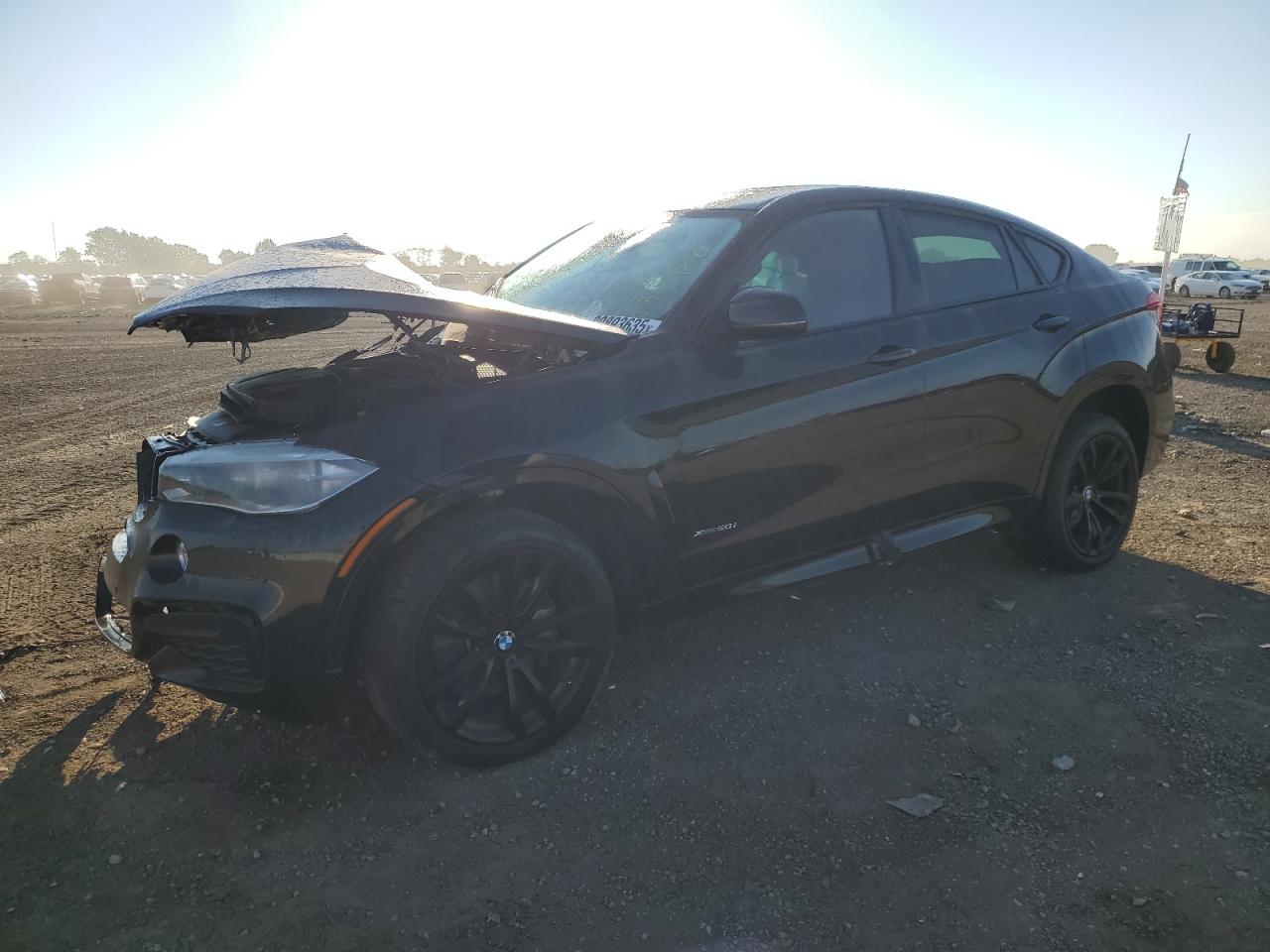 BMW X6 XDRIVE50I