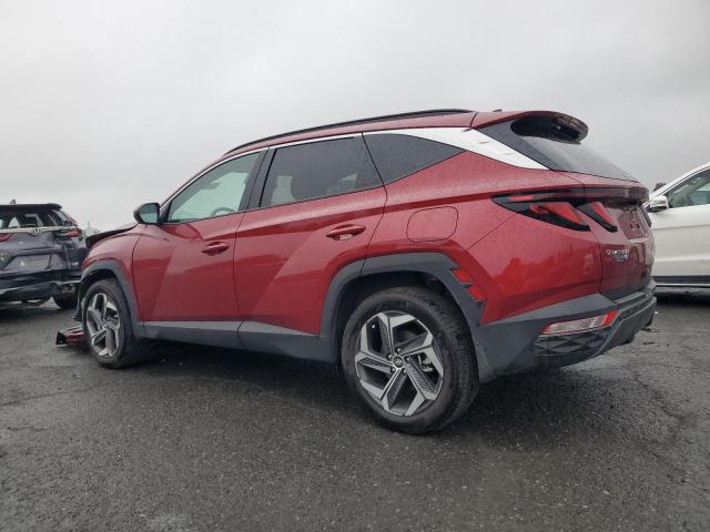 2024 HYUNDAI TUCSON SEL 5NMJBCDE1RH423933